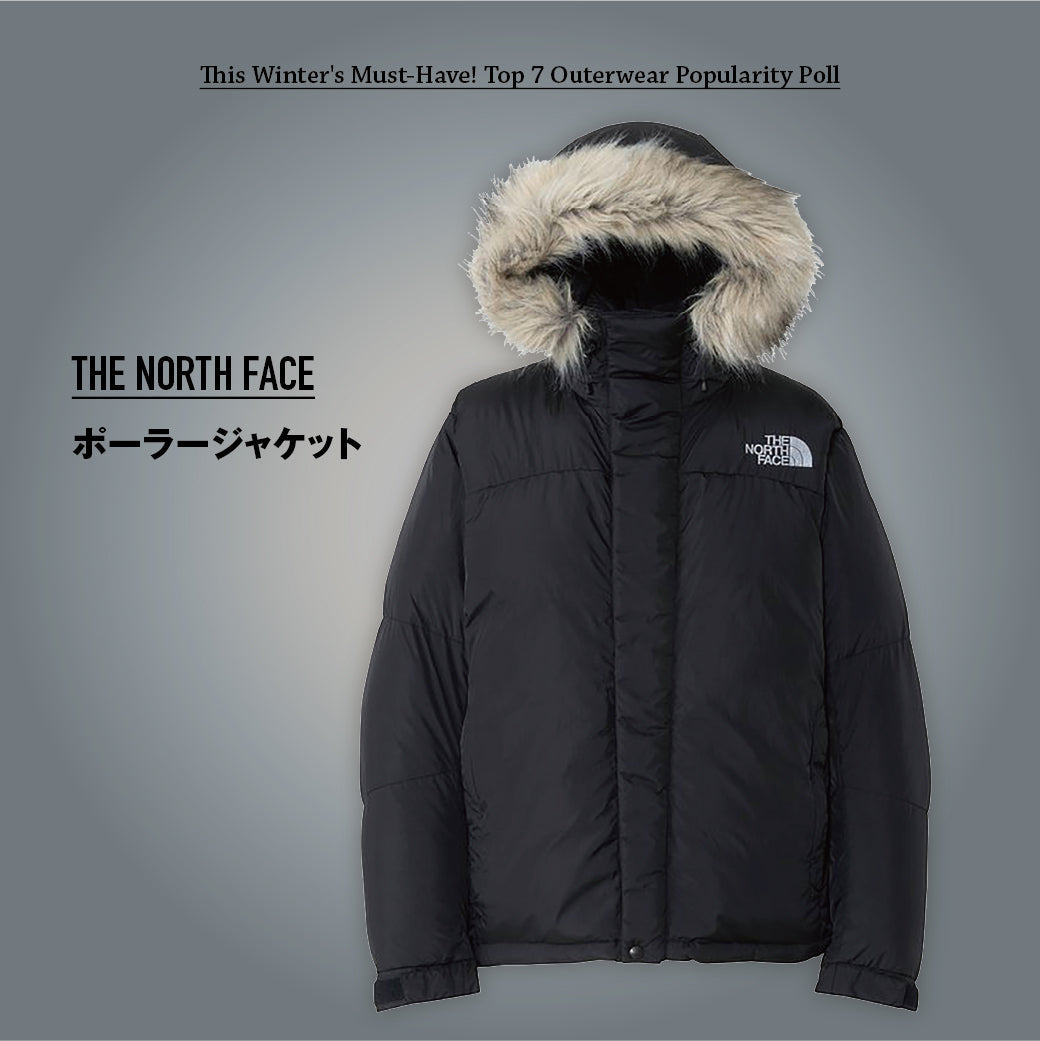 THE NORTH FACE ポーラージャケット Lサイズ 25fw-outer-6_571f04a8-22fe-