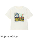 ノースフェイス トドラーショートスリーブサンシェードグラフィックティー NTT12560 Tシャツ 半袖 水陸両用 耐塩素 UVプロテクト キッズ
