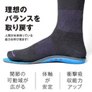 ディーラックス バネインソール BANE-7025-0001 スノーボード アクセサリ インソール 中敷き