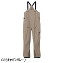 ノースフェイス レイバックBCビブ NS62411 スノーボード パンツ GORE-TEX 防水 透湿 メンズ