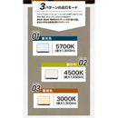 ワック LEDランタン2 waq-ll2 ランタン 照明 ライト 1650lm 3種点灯モード