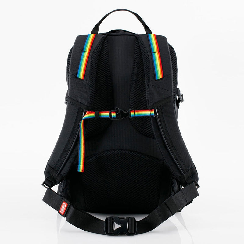 チャムス スプリングデール25 CH60-3997 デイバッグ バックパック リュックサック 容量約25L