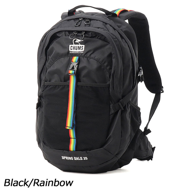 チャムス スプリングデール25 CH60-3997 デイバッグ バックパック リュックサック 容量約25L