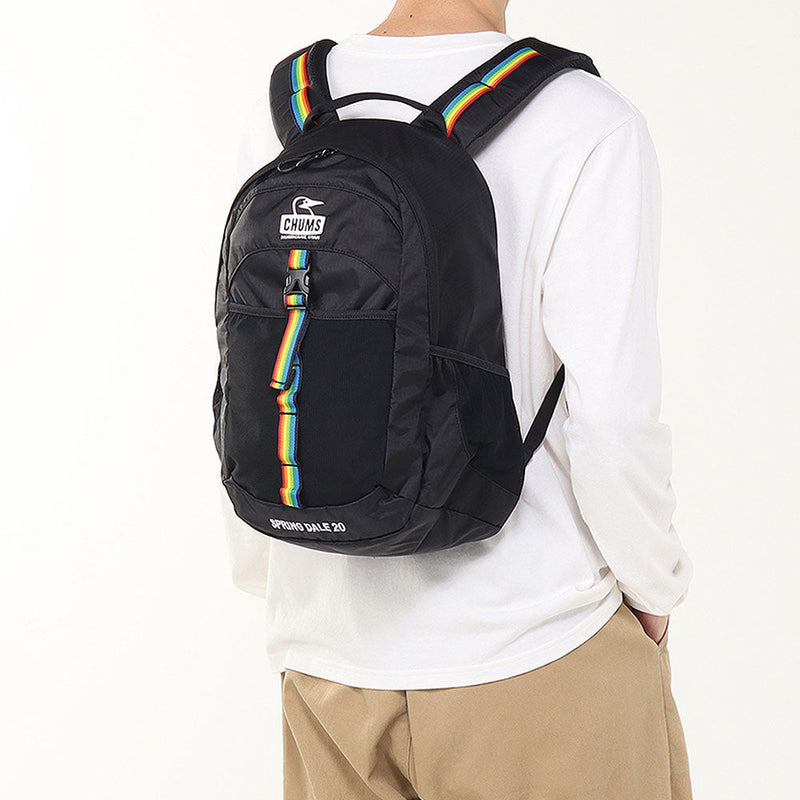 チャムス スプリングデール20 CH60-3749 デイバッグ バックパック リュックサック 容量約20L