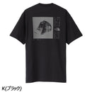 ノースフェイス ショートスリーブレイズオブドーンティー NT82530 Tシャツ 半袖 速乾 ユニセックス