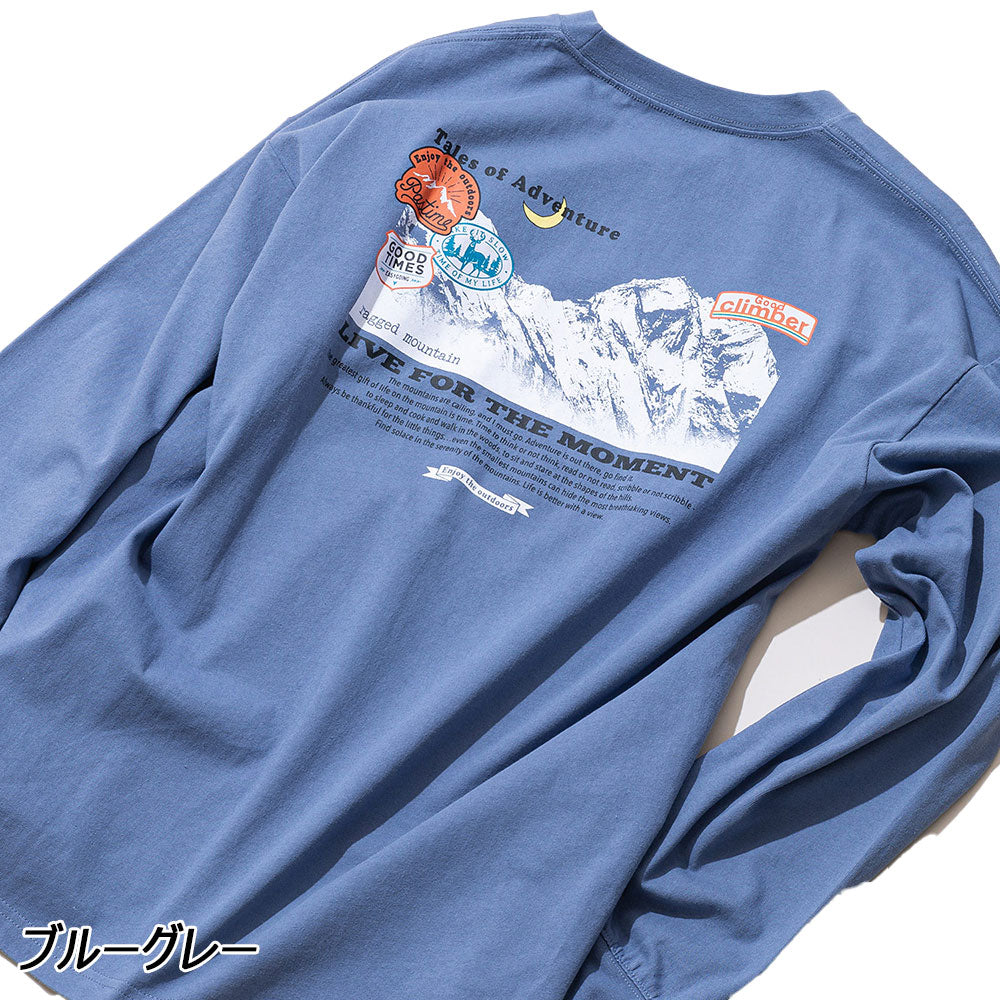 RO-4245　くま JDS - Beauty and the Beast x Mrs. Potts 
