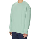 ノースフェイス ラリーオンロッククルー NL72102 フリース 静電ケア メンズ