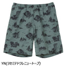 ノースフェイス アロハベントショーツ NB42532 ショートパンツ 短パン ハーフパンツ 通気性 UVガード メンズ