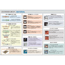 ライス28 LIBRE CA2 CAMBER PLUS スノーボード ボード