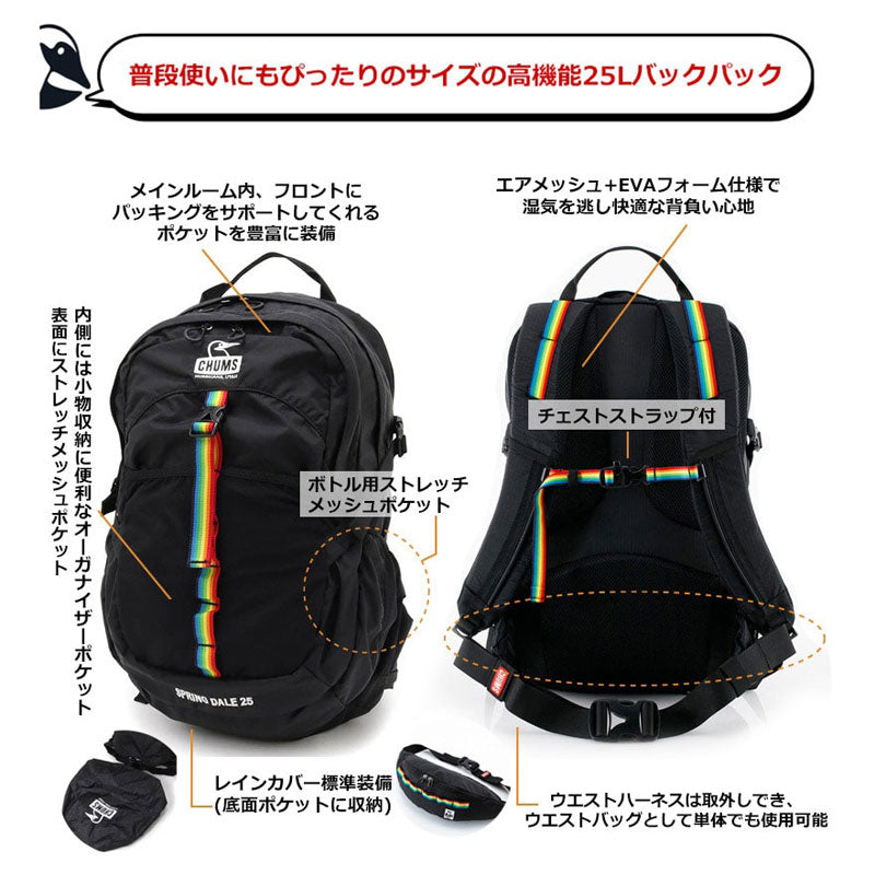 【美品】CHUMS 25L リュックバッグ
