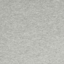 ノースフェイス オーバーサイズドスウェット パーカー レディース